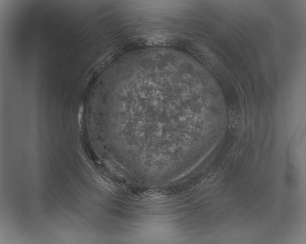 X0000074040648200609061209