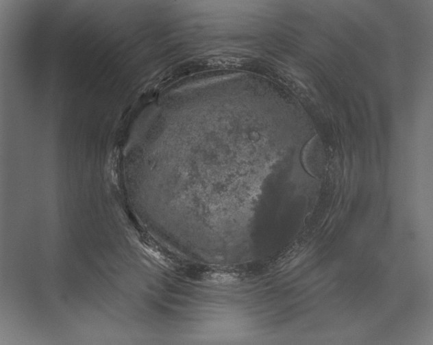 X0000074040649200609061209