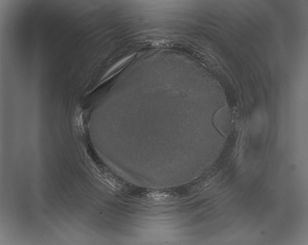 X0000074040650200609061209