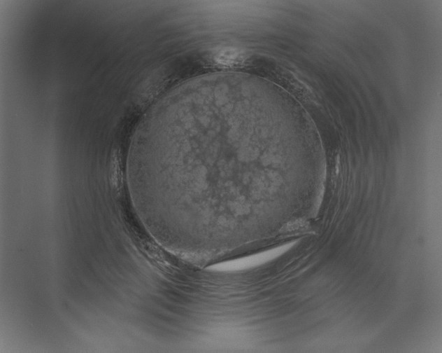 X0000074040651200609061209