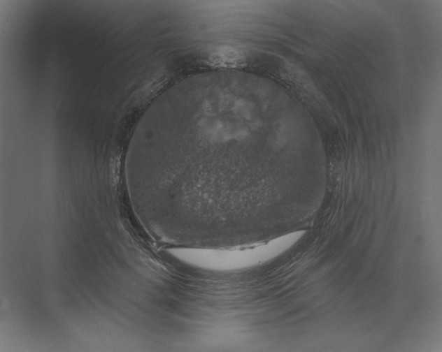 X0000074040652200609061209