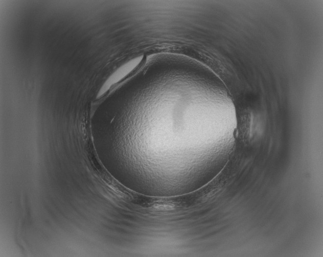 X0000074040653200609061209