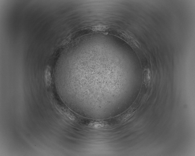 X0000074040655200609061209