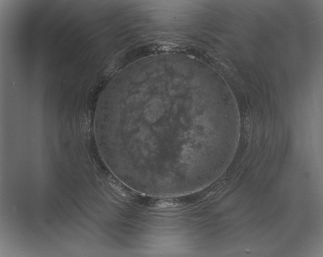 X0000074040657200609061209