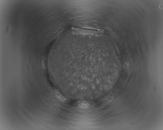 X0000074040658200609061209