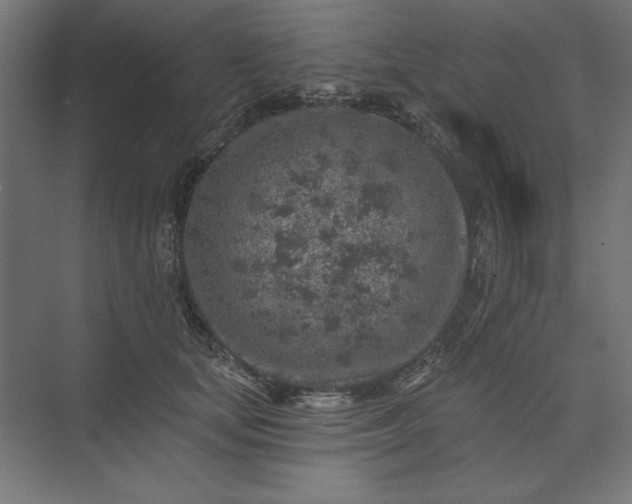 X0000074040659200609061209