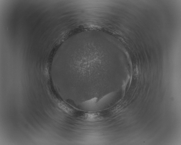 X0000074040662200609061209