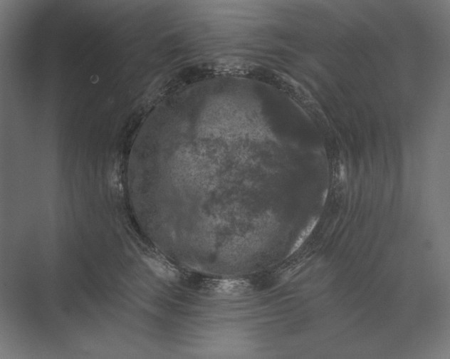 X0000074040663200609061209