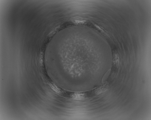 X0000074040664200609061209