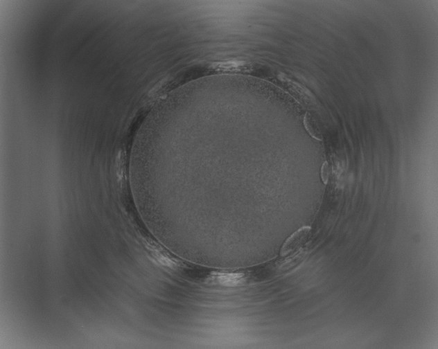 X0000074040665200609061209