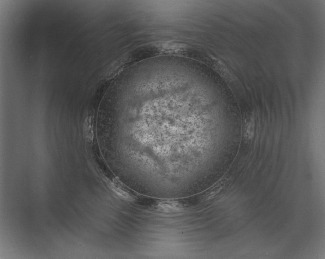 X0000074040666200609061209