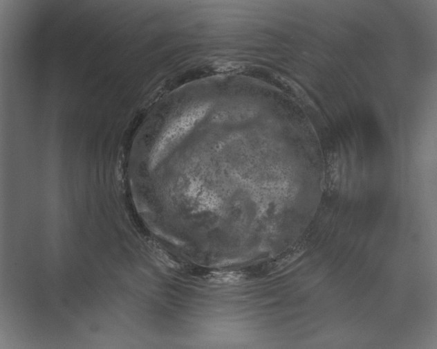 X0000074040667200609061209