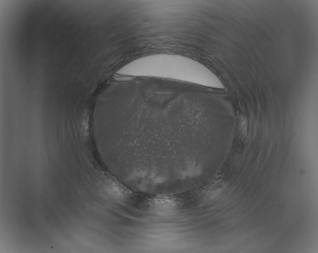 X0000074040668200609061209