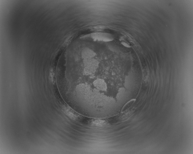 X0000074040669200609061209