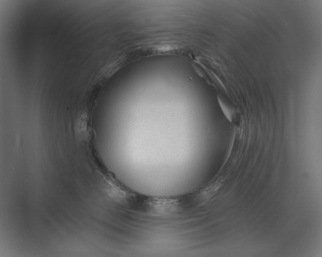 X0000074040670200609061209