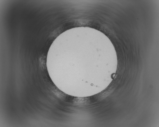 X0000074040672200609061209