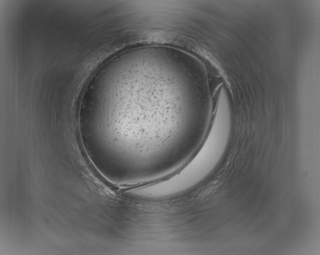 X0000074040673200609061208