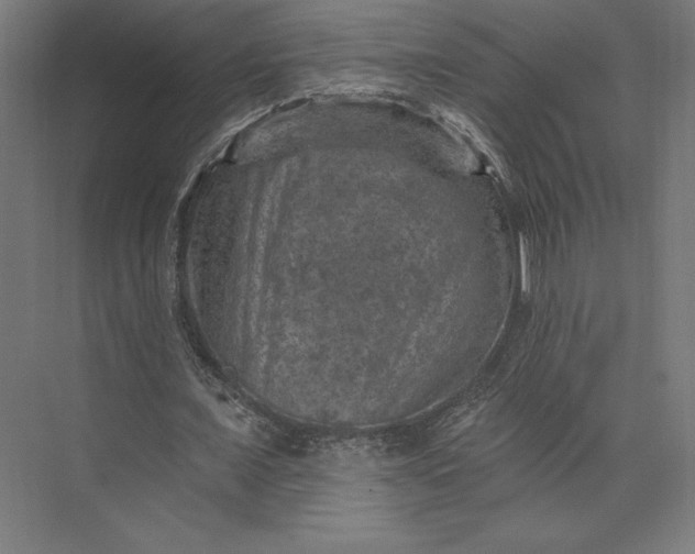 X0000074040675200609061208