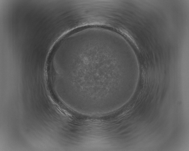 X0000074040676200609061208