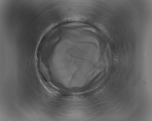 X0000074040678200609061208