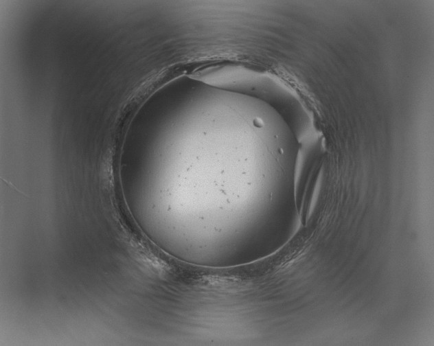 X0000074040681200609061208