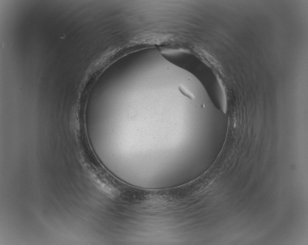 X0000074040682200609061208