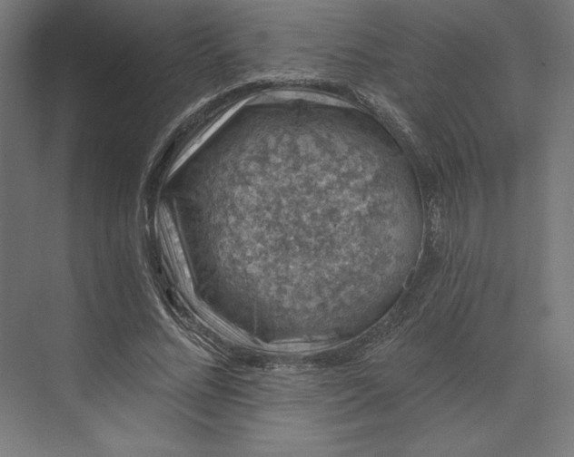 X0000074040684200609061208