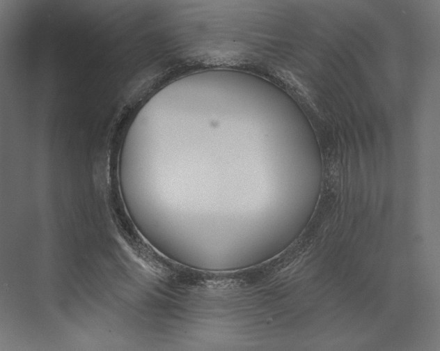 X0000074040686200609061208