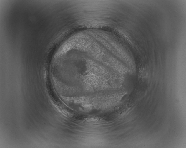 X0000074040687200609061208