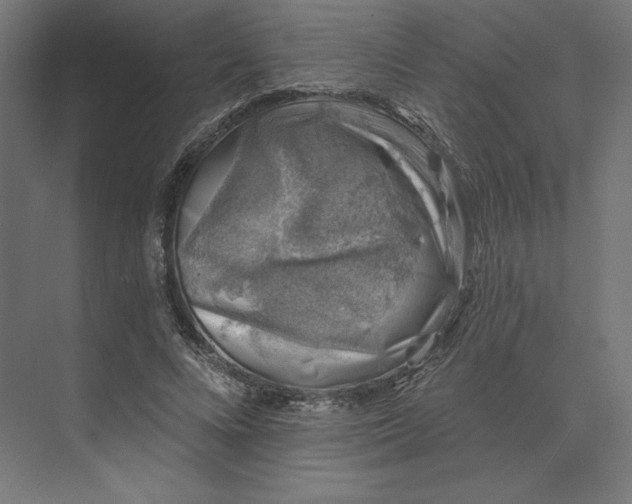 X0000074040688200609061208