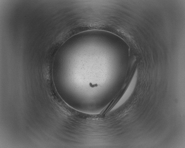 X0000074040689200609061208