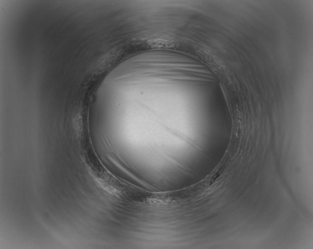 X0000074040690200609061208