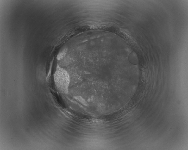 X0000074040691200609061208