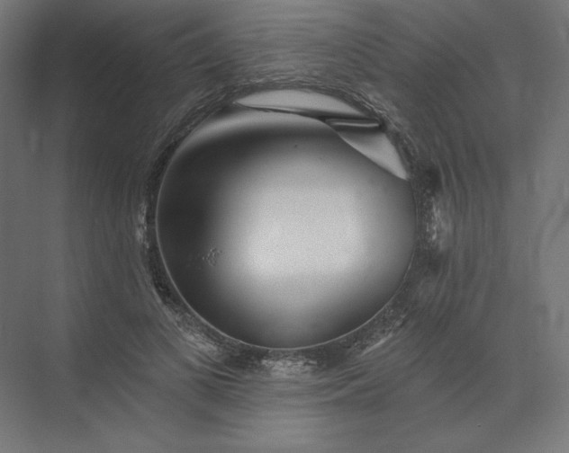 X0000074040693200609061208