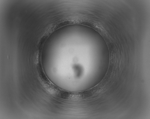 X0000074040694200609061208