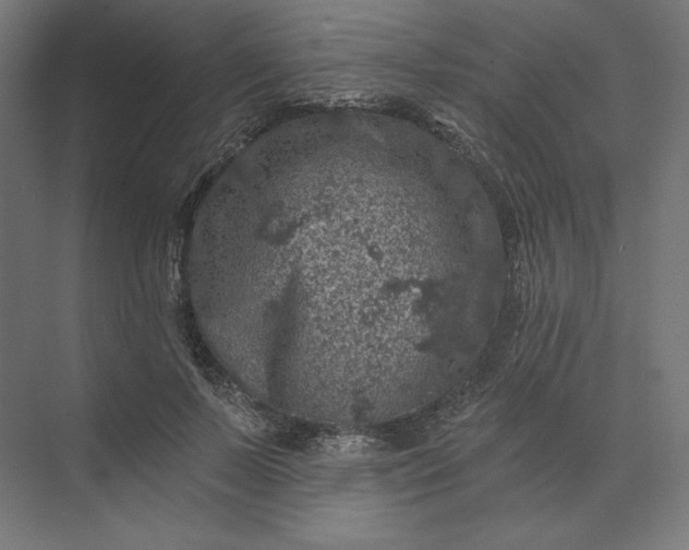 X0000074040695200609061208