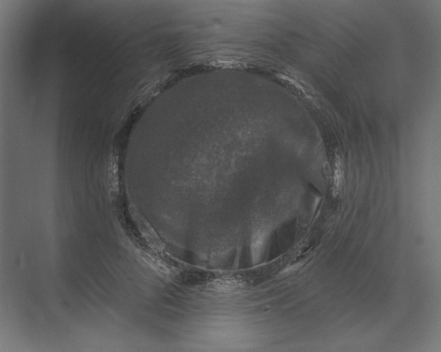 X0000074040696200609061208