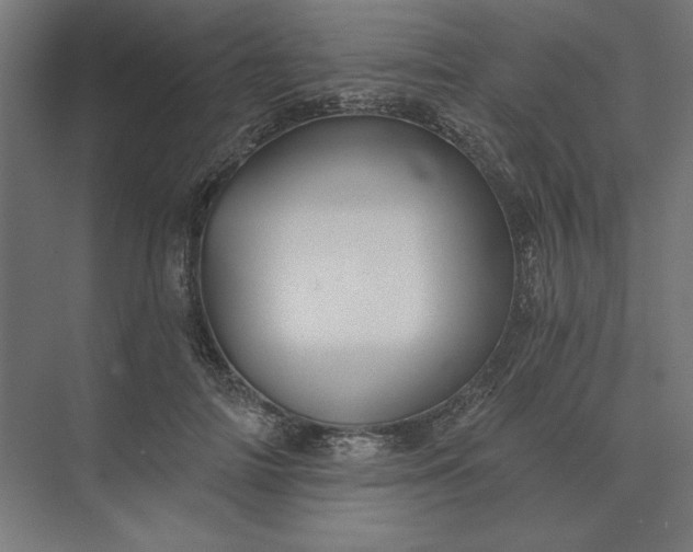 X0000074040698200609061208