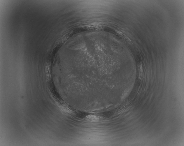 X0000074040699200609061208