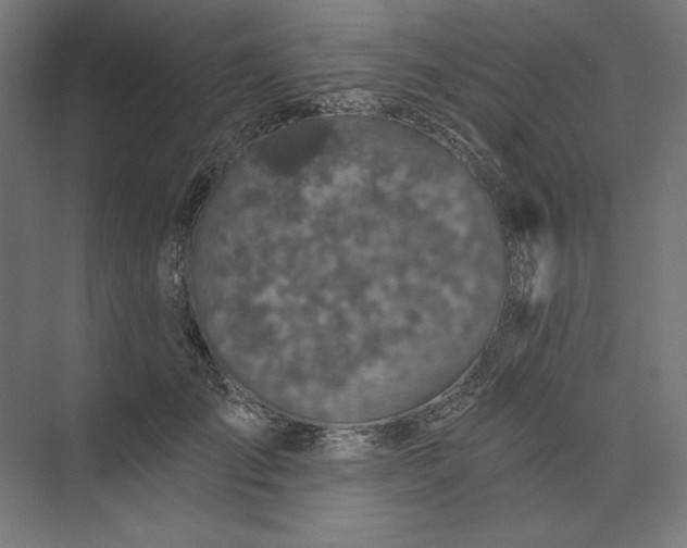 X0000074040701200609061208