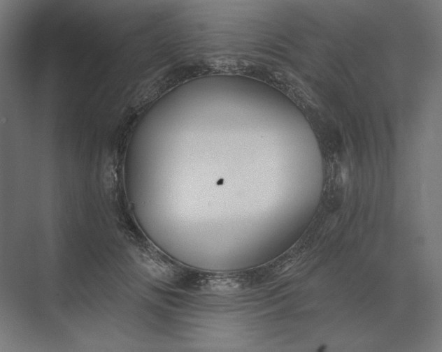 X0000074040702200609061208