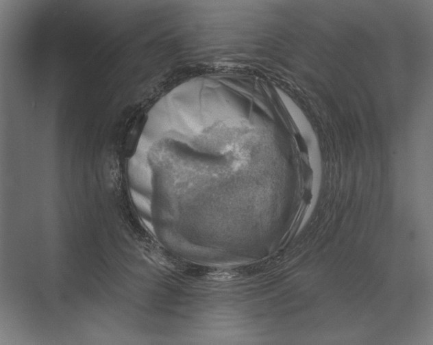 X0000074040704200609061208