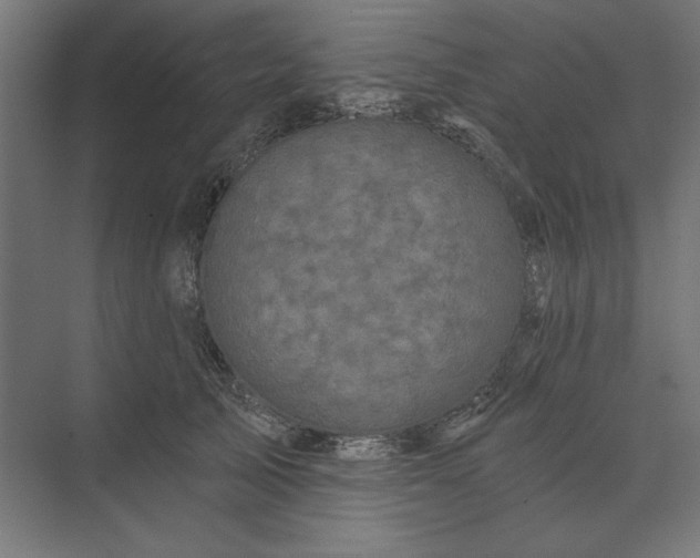 X0000074040705200609061208