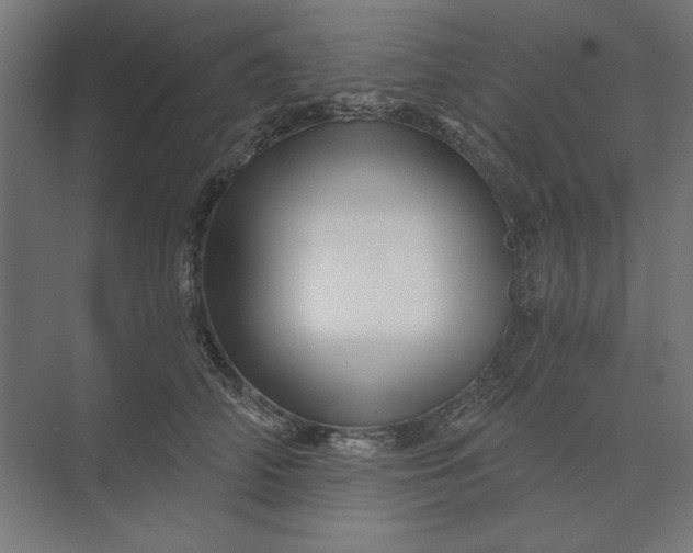 X0000074040706200609061208