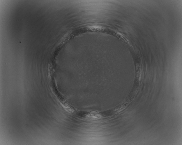 X0000074040712200609061207