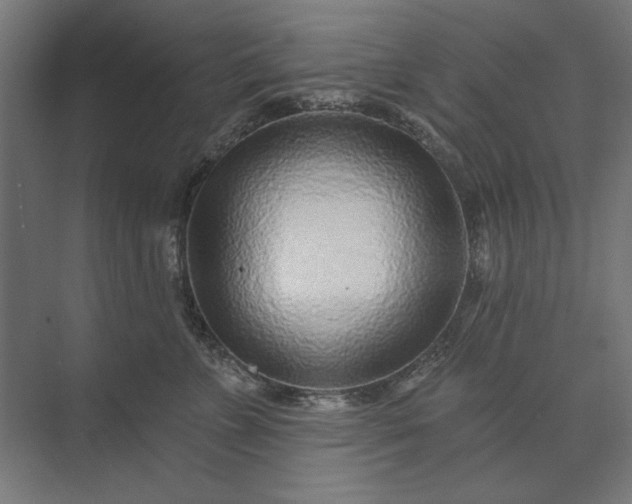 X0000074040715200609061207