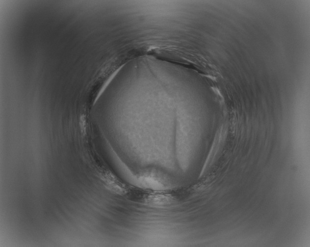 X0000074040716200609061207