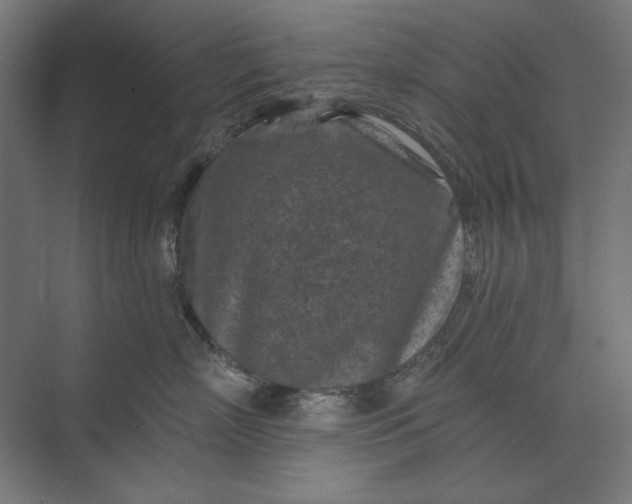 X0000074040718200609061207