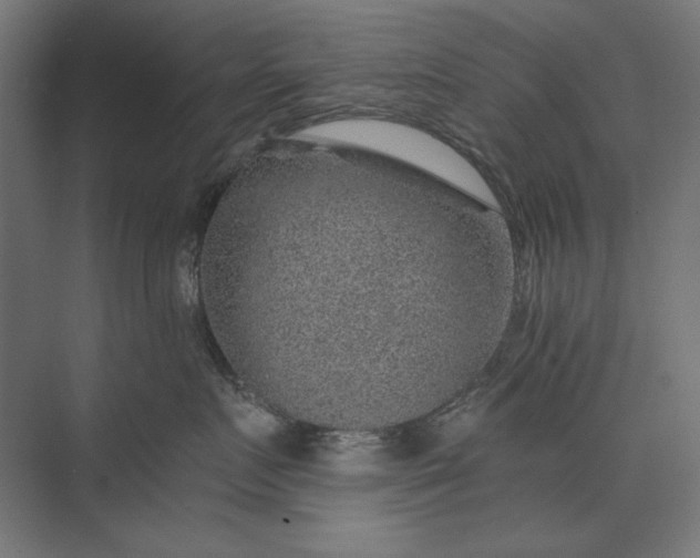 X0000074040719200609061207