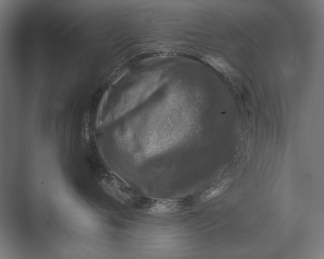 X0000074040720200609061207